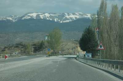 YAZIKÖYÜ NEKROPOL ALANI - Müze Müdürlüğü Arşivi - 2008