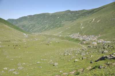 Avusor Yaylası 
Kaynak: Rize İl Kültür ve Turizm Müdürlüğü Fotoğraf Arşivi