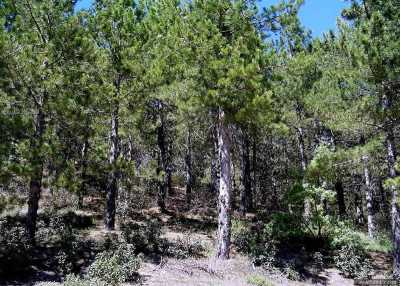 Denizli İl Kültür ve Turizm Müdürlüğü