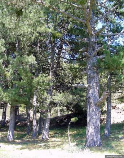 Denizli İl Kültür ve Turizm Müdürlüğü