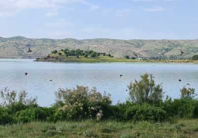 Yarımada (Hazar Gölü)
