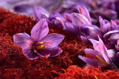 Safran Tadında Bir Rota