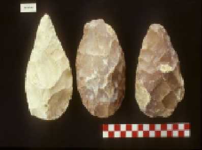 Paleolitik Çağ