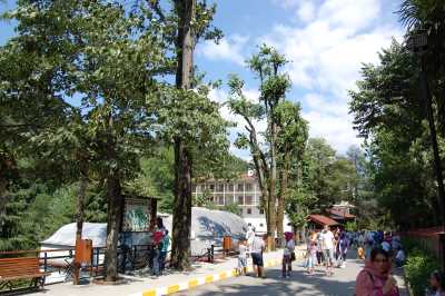 Termal Kaplıca İşletmeleri, Yalova