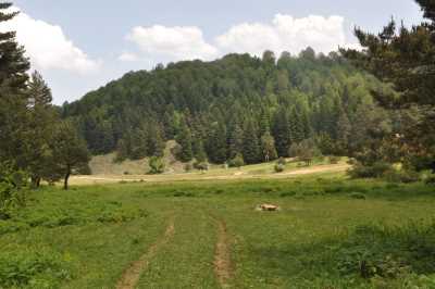 İnönü Yaylası-Kocaeli