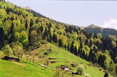 Giresun Kümbet Yaylası