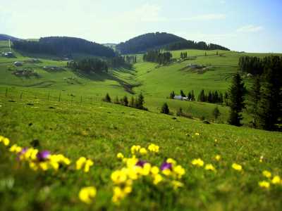 Giresun Kümbet Yaylası