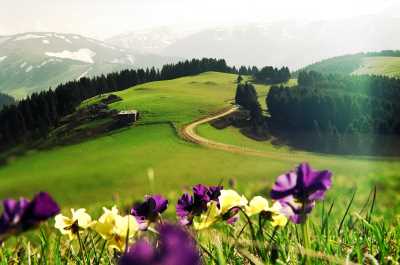 Giresun Kümbet Yaylası