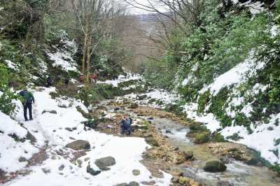 Aktaş Şelalesi