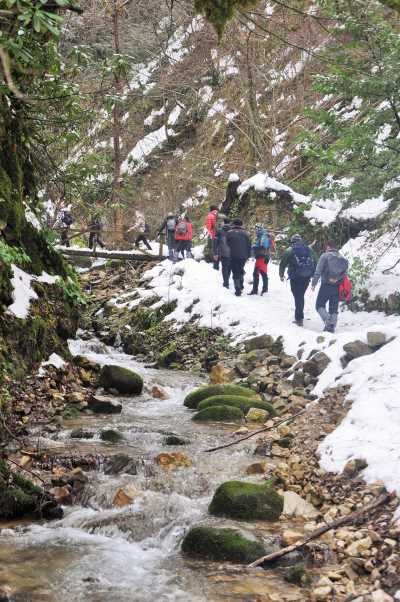 Aktaş Şelalesi