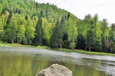 Torkul Göleti ve Yaylası