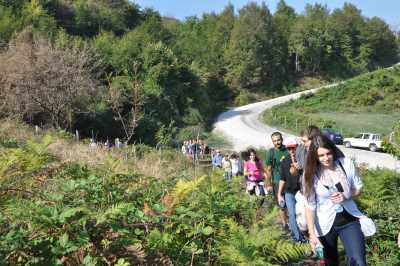 Aydınpınar Şelaleleri Tabiat Parkı