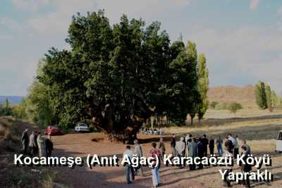 KOCAMEŞE *

* İL KÜLTÜR VE TURİZM MÜDÜRLÜĞÜ (2005)

* FOTOĞRAF : M.KEMAL KARATATAR