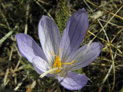 YILDIZTEPE

* İL KÜLTÜR VE TURİZM MÜDÜRLÜĞÜ (2012)
* FOTOĞRAF : M.KEMAL KARATATAR
