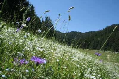 YILDIZTEPE 

* İL KÜLTÜR VE TURİZM MÜDÜRLÜĞÜ (2008)
* FOTOĞRAF : M.KEMAL KARATATAR