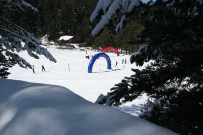 YILDIZTEPE'DE KAYAK YARIŞMASI

* İL KÜLTÜR VE TURİZM MÜDÜRLÜĞÜ (2012)
* FOTOĞRAF : M.KEMAL KARATATAR